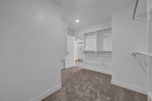9110 Lexford Dr, Amarillo, TX 79119 - walk in closet with carpet