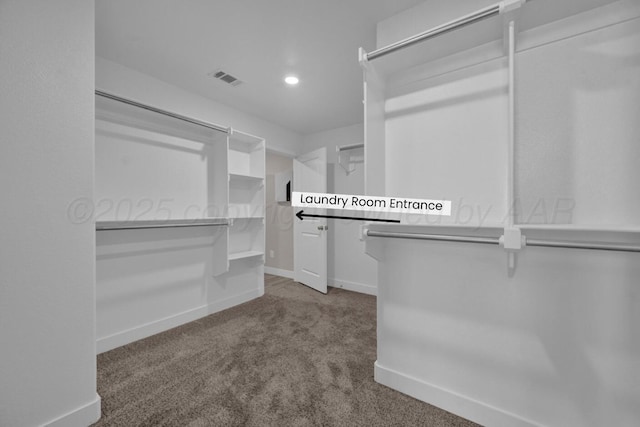 9110 Lexford Dr, Amarillo, TX 79119 - spacious closet with carpet flooring