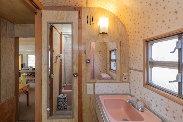 bathroom with vanity, wooden walls, and plenty of natural light