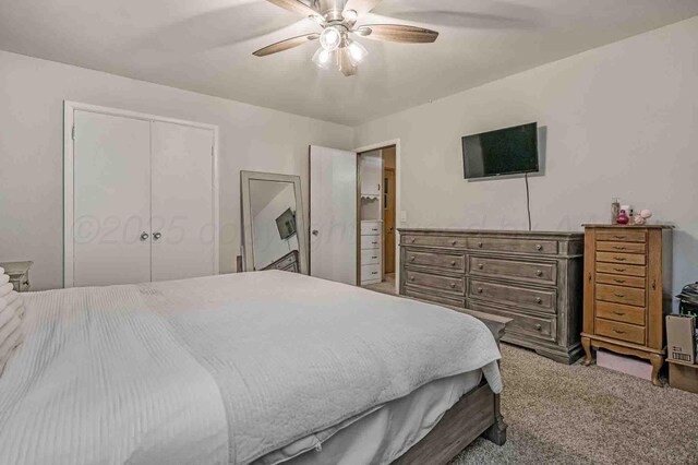 15 Fannin Dr, Tulia, TX 79088 - carpeted bedroom with a closet and a ceiling fan