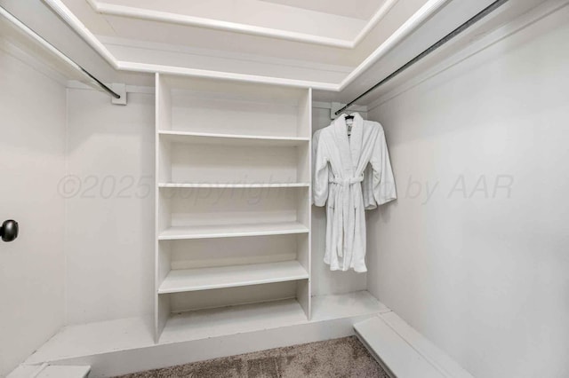 5800 Hester Rd, Amarillo, TX 79124 - spacious closet with carpet flooring