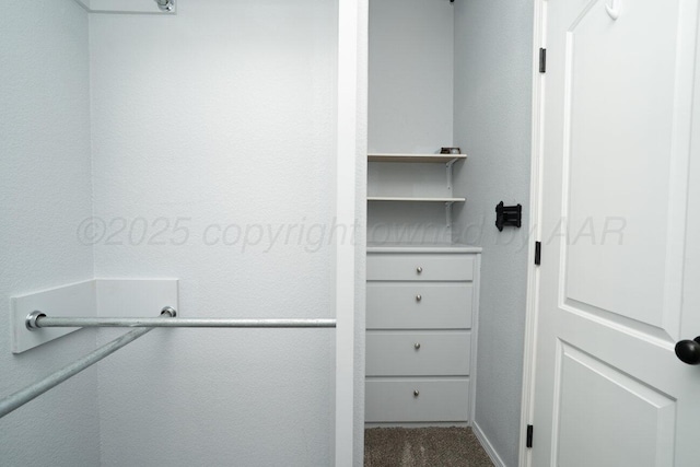 9909 Asher Ave, Amarillo, TX 79119 - walk in closet with dark carpet