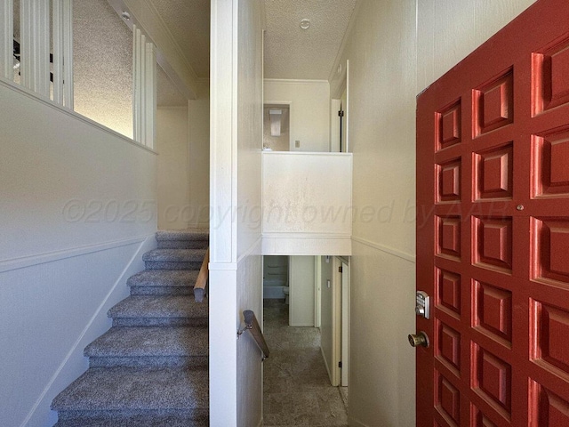 stairway featuring carpet, a textured ceiling, and crown molding