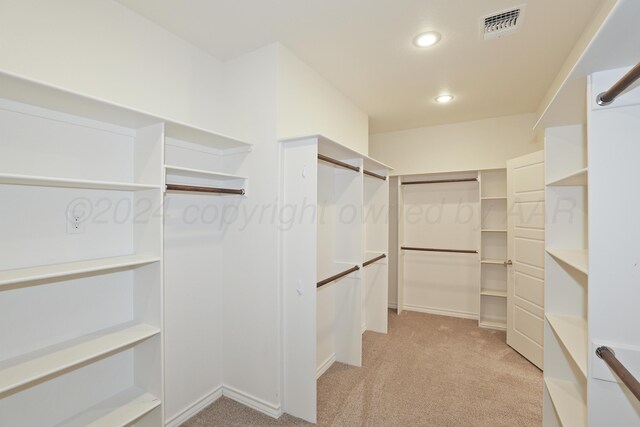 19501 Legacy Ranch Rd, Amarillo, TX 79124 - photo 19