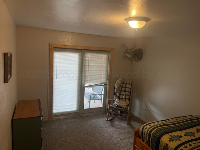 145 Pioneer Dr, Booker, TX 79005 - carpeted bedroom with baseboards