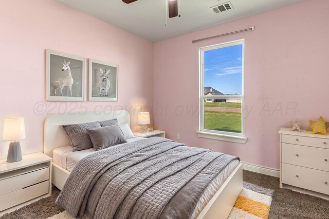 9050 Garrison Creek Dr, Amarillo, TX 79119 - photo 31