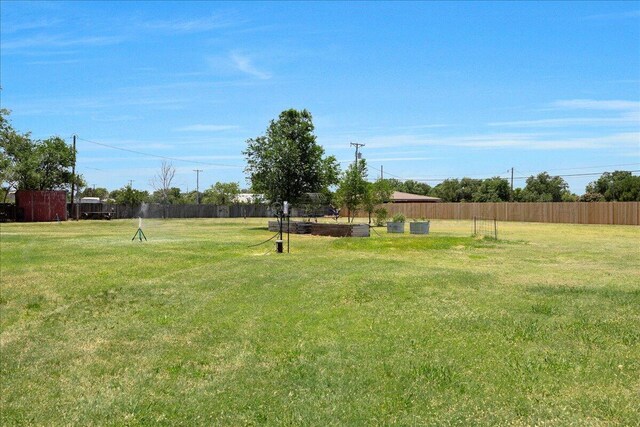 100 S Avondale St, Amarillo, TX 79106 - view of yard
