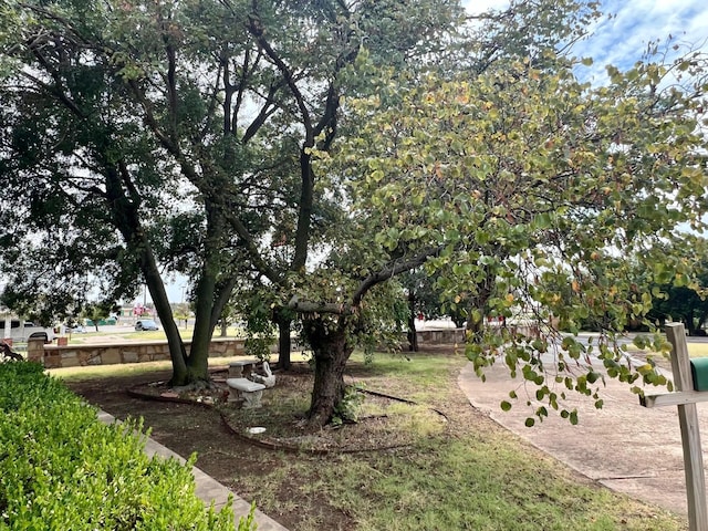 1814 N Main St, Shamrock, TX 79079 - view of yard