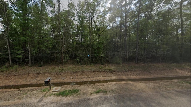 18574 S Rayburn Dr, Conroe, TX 77302