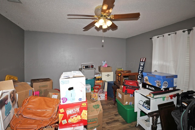 storage featuring a ceiling fan