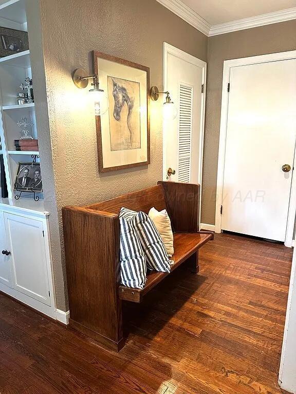 hallway featuring crown molding and dark wood-type flooring