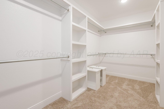 spacious closet with light carpet