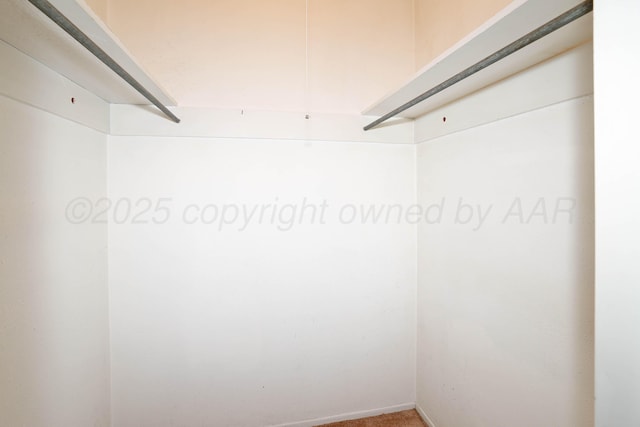 view of walk in closet