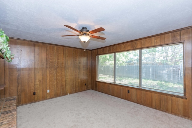 5614 Tranquil Cir, Amarillo, TX 79109 - carpeted empty room featuring a ceiling fan and wooden walls