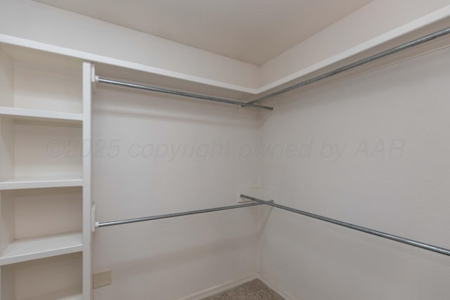 6703 Mosley St, Amarillo, TX 79119 - view of walk in closet