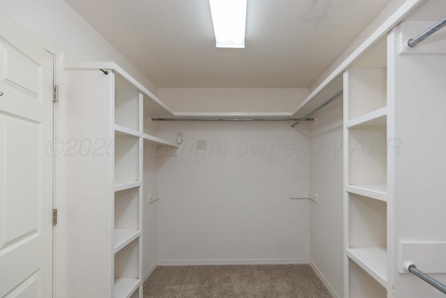 6703 Mosley St, Amarillo, TX 79119 - walk in closet featuring carpet flooring