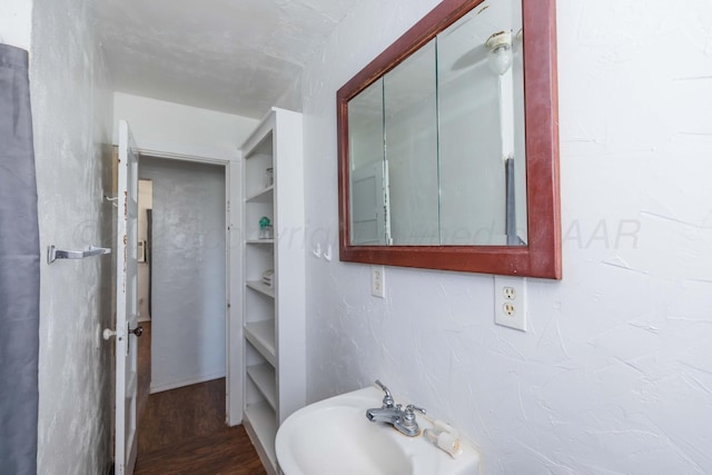 bathroom with wood finished floors and a sink