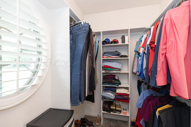 4511 Spartanburg Dr, Amarillo, TX 79119 - view of spacious closet