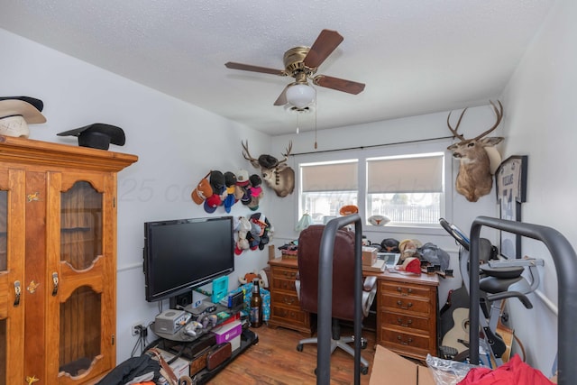 1102 Franklin Ave, Panhandle, TX 79068 - home office featuring a ceiling fan, wood finished floors, and a textured ceiling
