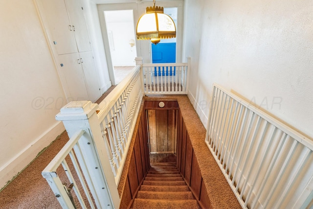 staircase featuring carpet floors