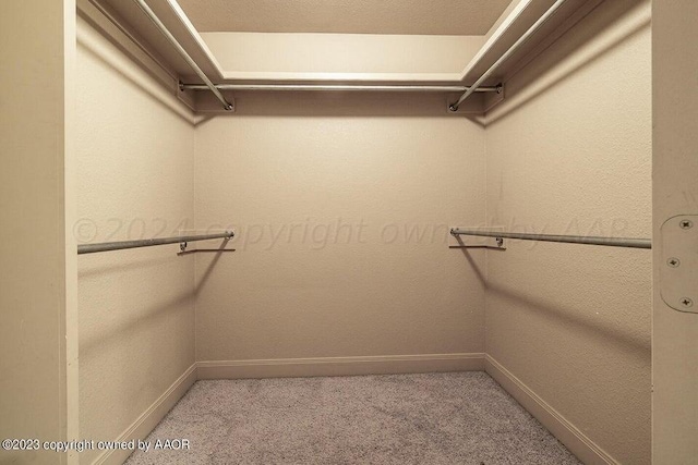 walk in closet featuring carpet flooring