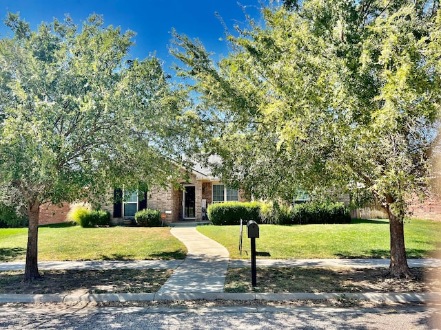 obstructed view of property with a front yard