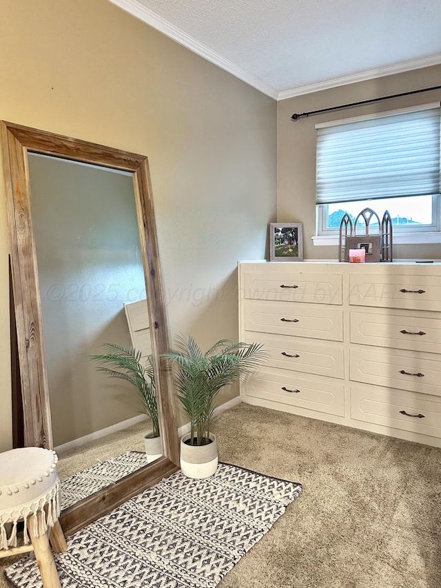 1417 Bluebonnet St, Borger, TX 79007 - sitting room featuring crown molding, carpet, and baseboards