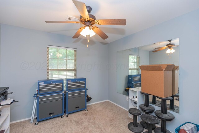 8507 Barstow Dr, Amarillo, TX 79118 - miscellaneous room with ceiling fan, healthy amount of natural light, and light carpet