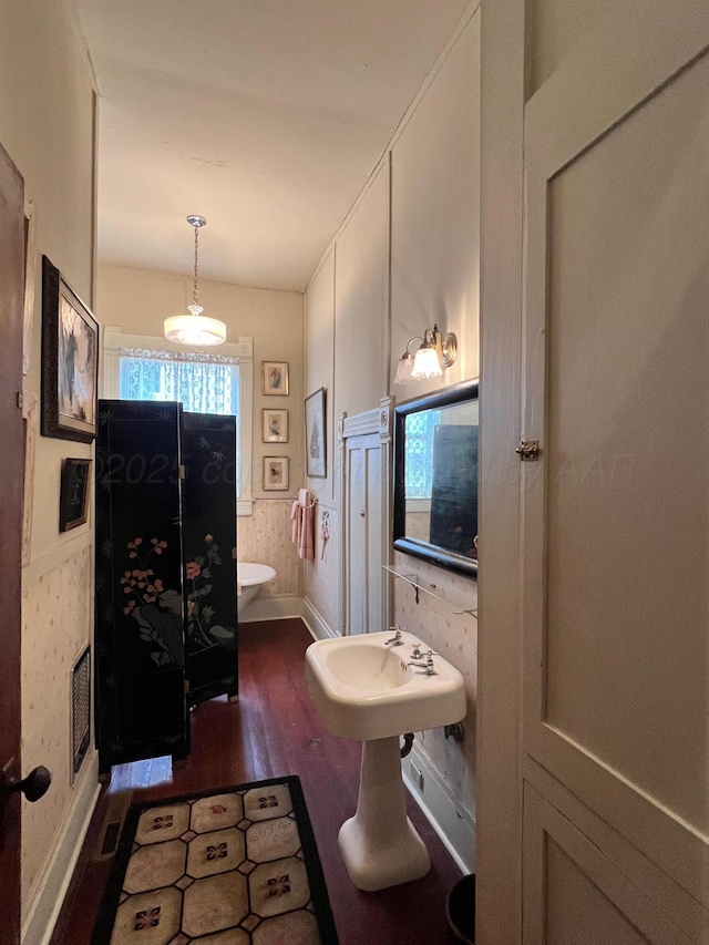 bathroom with wood-type flooring and sink