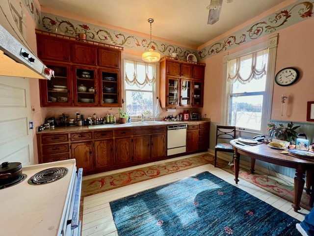 kitchen featuring pendant lighting, sink, white appliances, and range hood