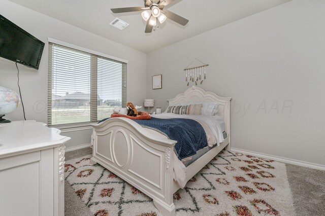 11205 Brookside Dr, Amarillo, TX 79119 - photo 19