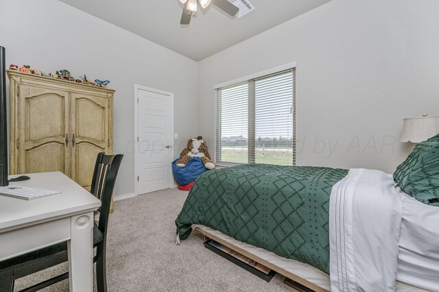 11205 Brookside Dr, Amarillo, TX 79119 - photo 18