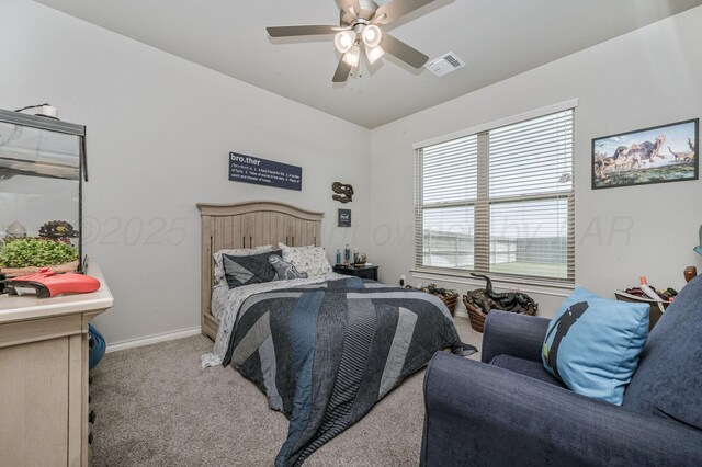 11205 Brookside Dr, Amarillo, TX 79119 - photo 22