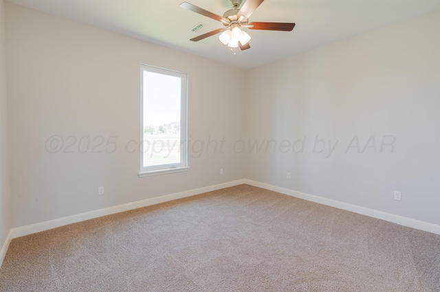 9283 Wind Flower Ln, Amarillo, TX 79119 - photo 25