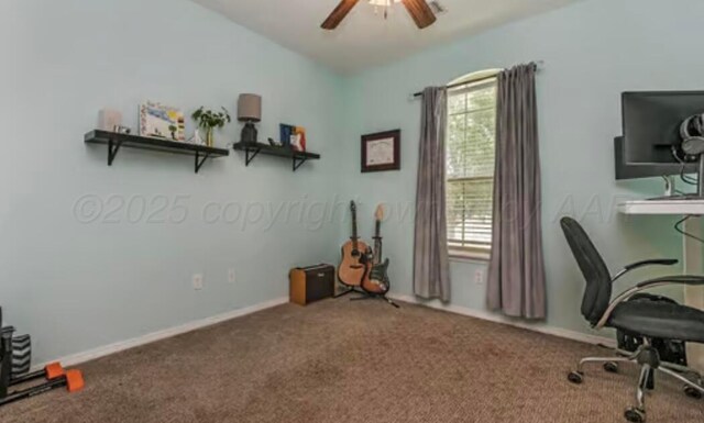 4014 Willow St, Amarillo, TX 79118 - carpeted office space featuring plenty of natural light and ceiling fan