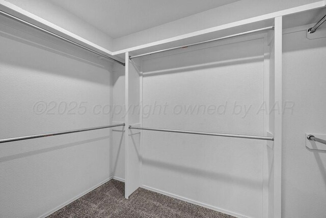 2709 Tampa Bay Ave, Amarillo, TX 79118 - spacious closet with dark colored carpet