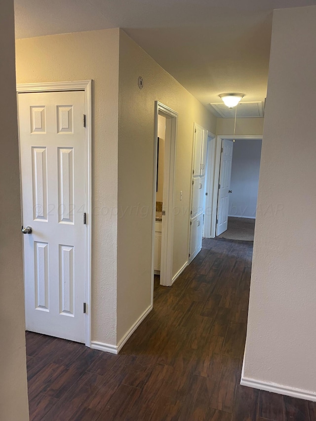 hall featuring dark hardwood / wood-style flooring