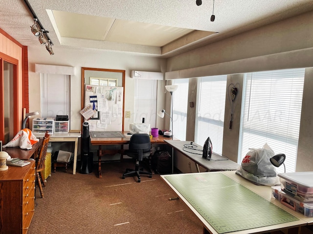 office area with a tray ceiling, a textured ceiling, track lighting, and carpet floors