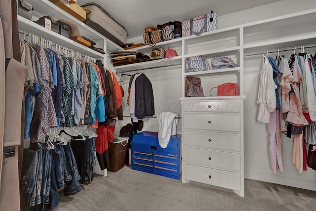 6905 Spring Cherry Ln, Amarillo, TX 79124 - walk in closet with carpet flooring