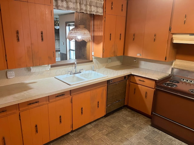 kitchen featuring dishwasher, stove, sink, and range hood