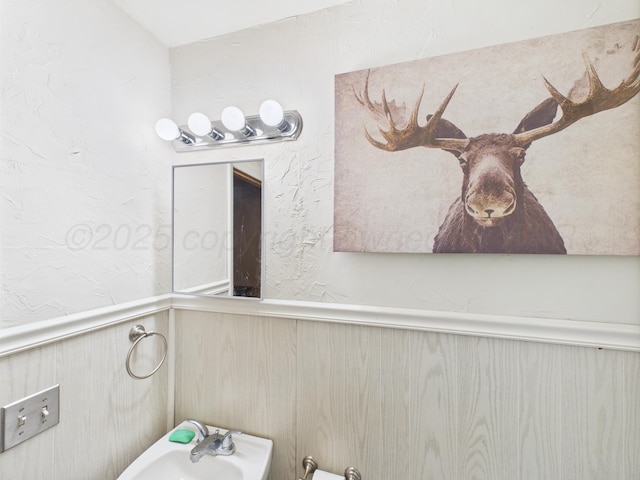 317 Morton Ave, Dumas, TX 79029 - bathroom featuring a wainscoted wall and a sink