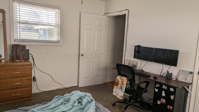 1025 Bowman Dr, Borger, TX 79007 - bedroom with an office area and carpet flooring