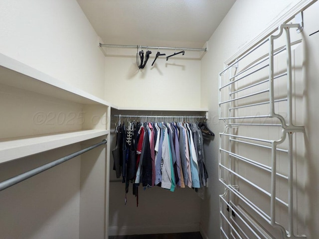 8121 Alexandria Ave, Amarillo, TX 79118 - view of walk in closet