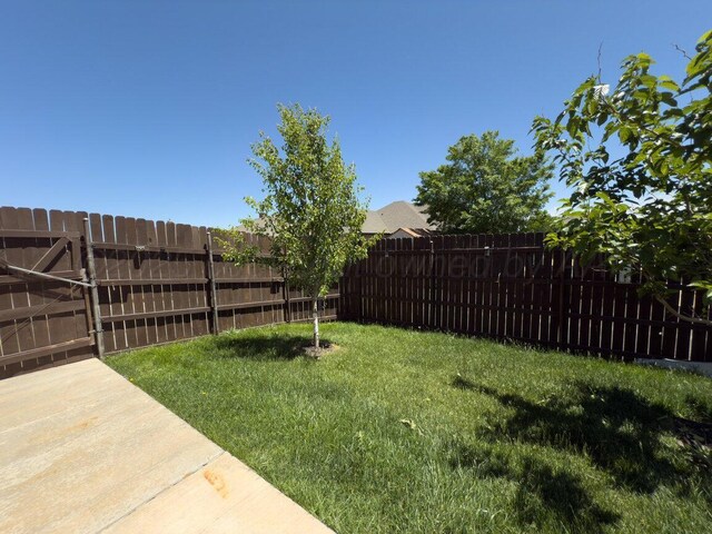 8121 Alexandria Ave, Amarillo, TX 79118 - view of yard