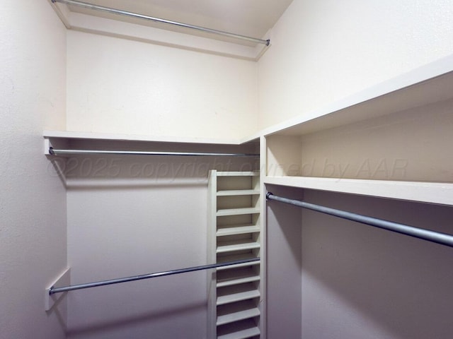 8121 Alexandria Ave, Amarillo, TX 79118 - view of spacious closet