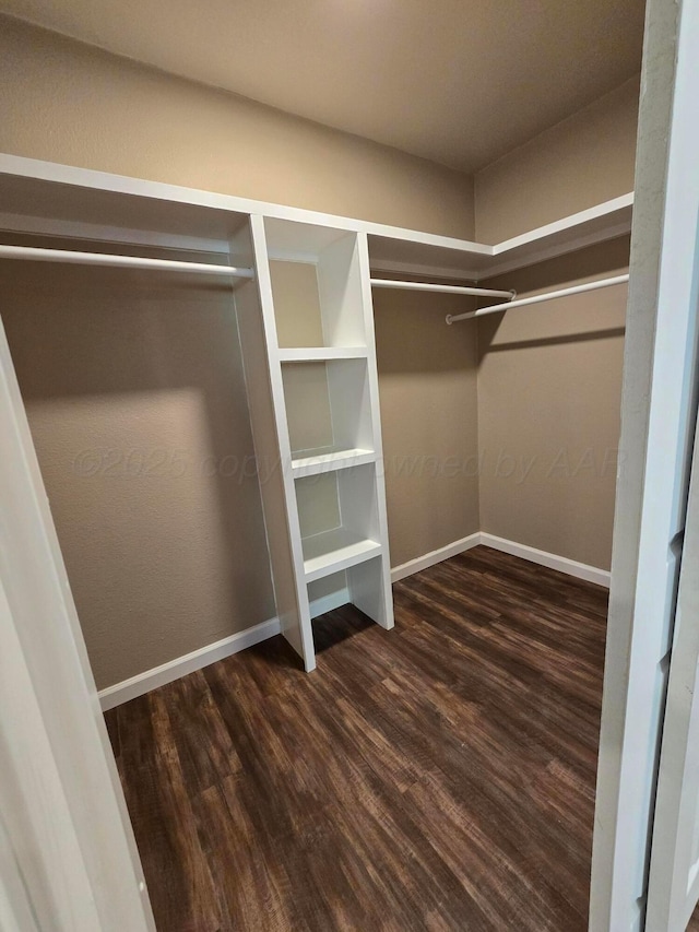 spacious closet with dark wood-type flooring