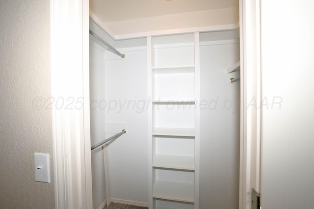 7501 Countryside Dr, Amarillo, TX 79119 - view of spacious closet