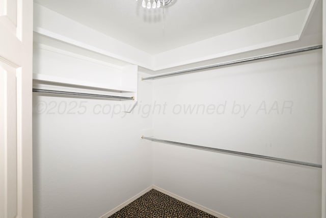 7501 Countryside Dr, Amarillo, TX 79119 - view of spacious closet