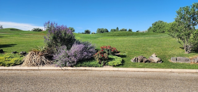 34 Merion Pl, Amarillo, TX 79124 - photo 4
