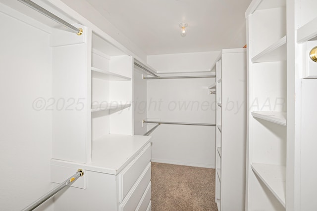 220 S Fm 2381, Amarillo, TX 79124